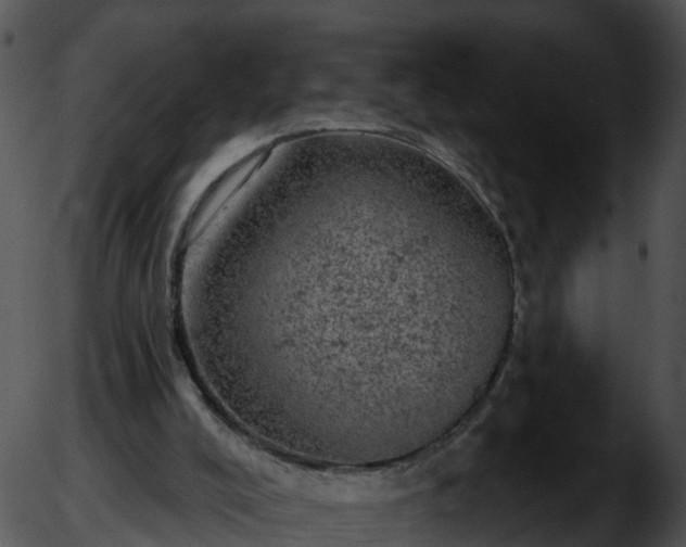 X0000051890008200507020107