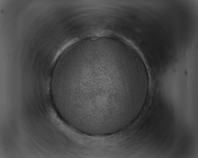 X0000051890010200507020107