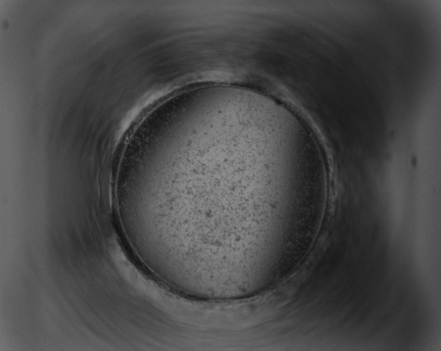 X0000051890011200507020107