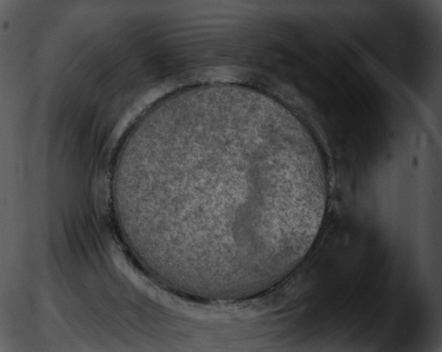 X0000051890012200507020107