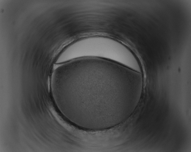 X0000051890013200507020107