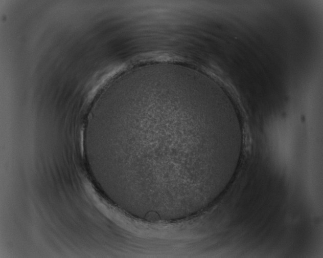 X0000051890014200507020107