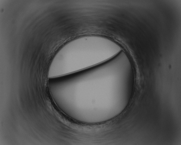 X0000051890017200507020107