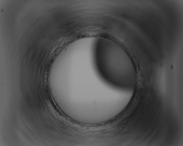 X0000051890018200507020107