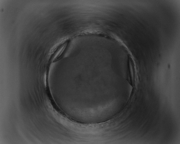 X0000051890019200507020107