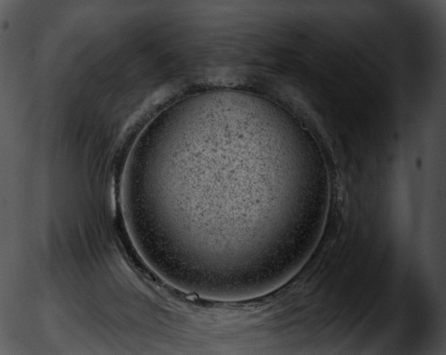 X0000051890020200507020107