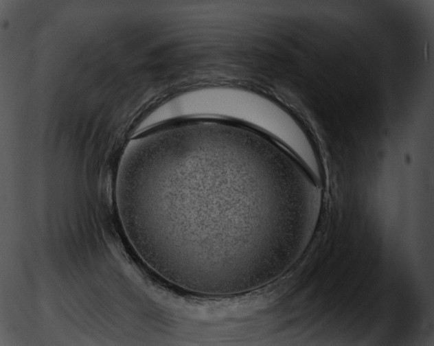 X0000051890021200507020107