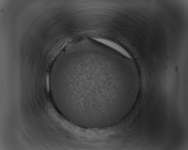 X0000051890022200507020107