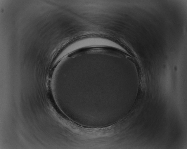 X0000051890023200507020107