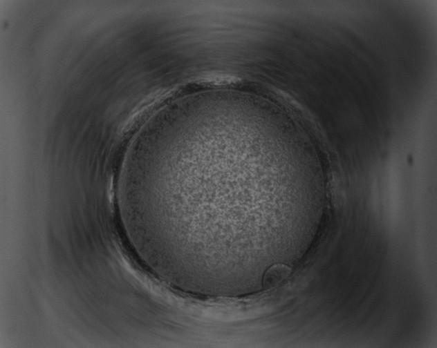 X0000051890024200507020107