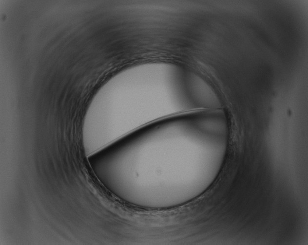 X0000051890025200507020107