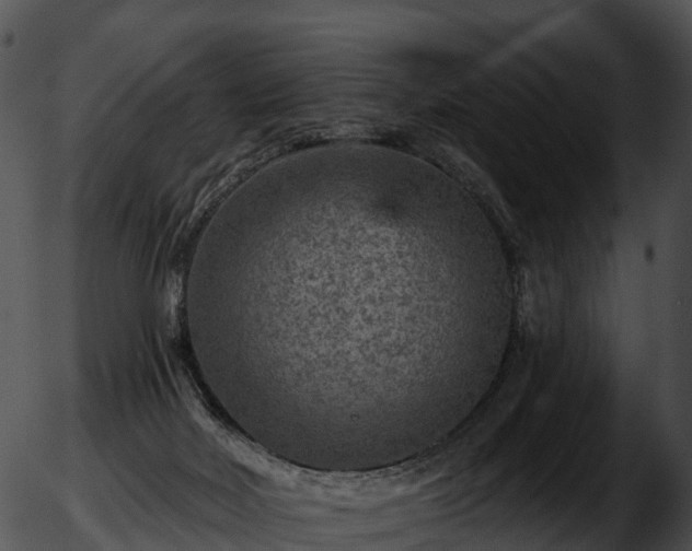 X0000051890026200507020107