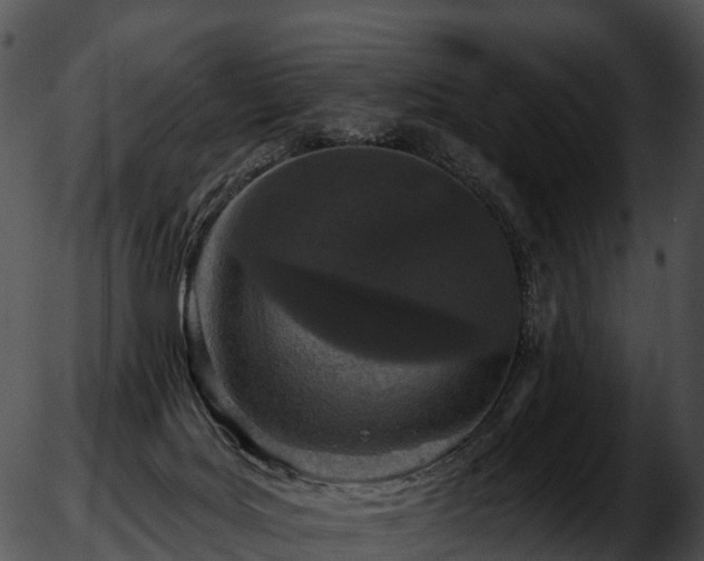 X0000051890027200507020107