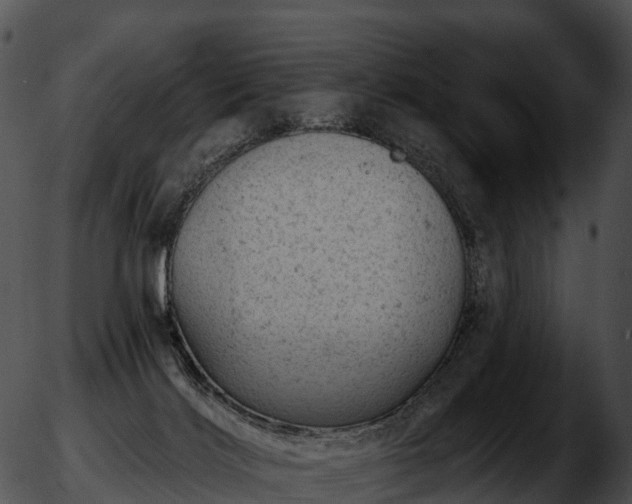 X0000051890028200507020107