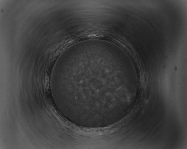 X0000051890029200507020107