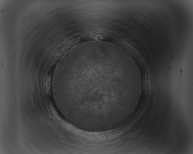 X0000051890030200507020107