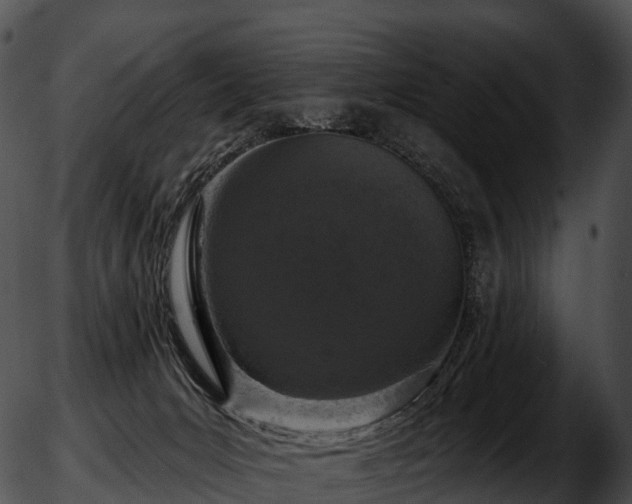 X0000051890031200507020107