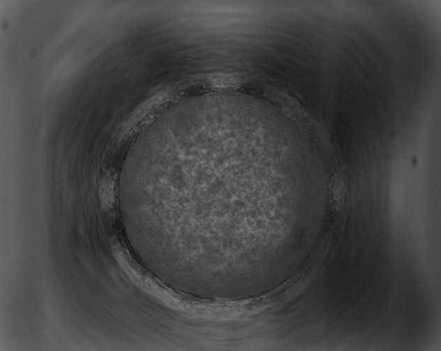 X0000051890032200507020107