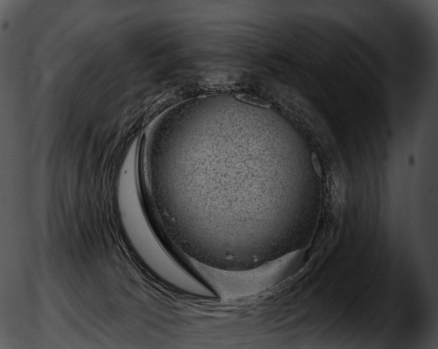 X0000051890033200507020107