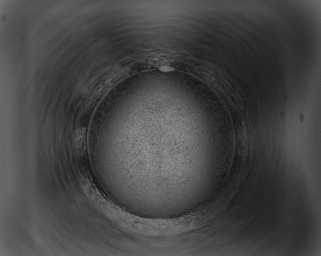 X0000051890034200507020107