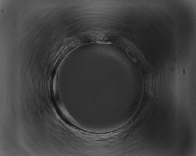 X0000051890035200507020107