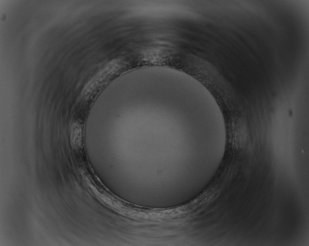 X0000051890036200507020107