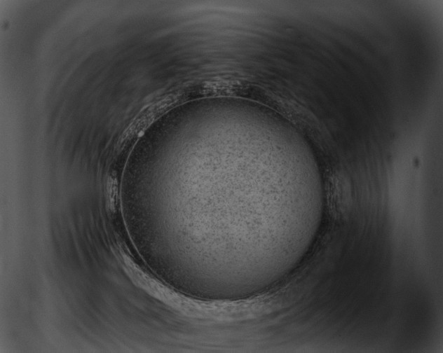 X0000051890038200507020107