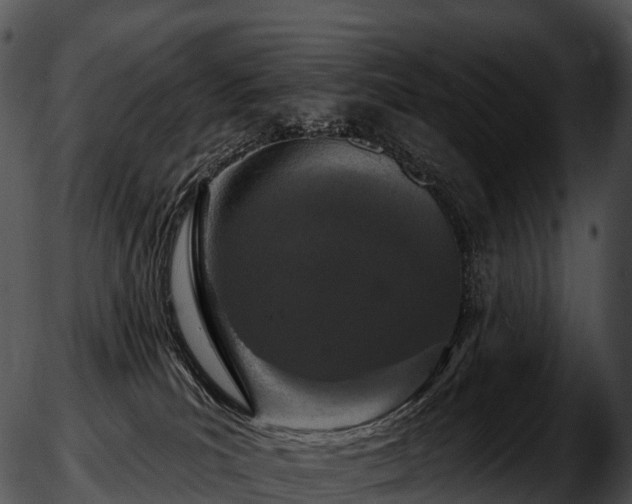 X0000051890039200507020107