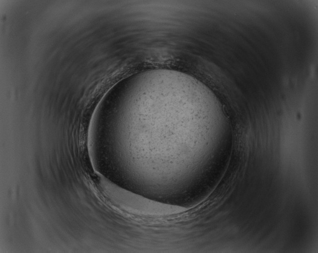 X0000051890040200507020107