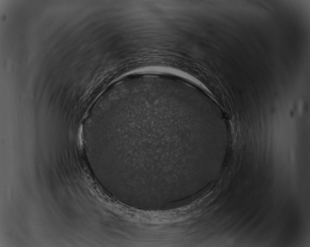 X0000051890041200507020107