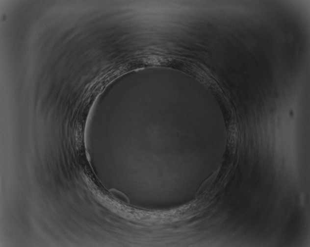 X0000051890043200507020107