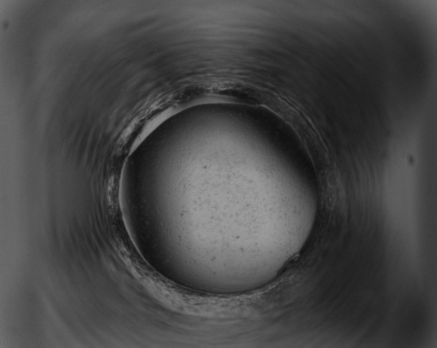 X0000051890044200507020107