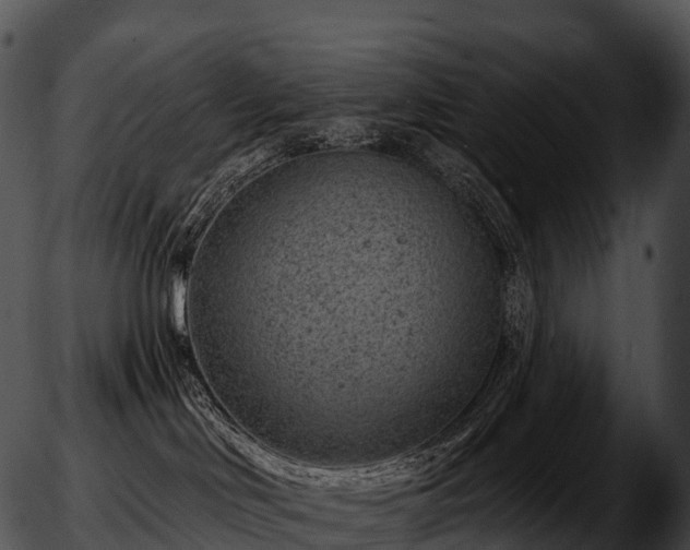 X0000051890046200507020107