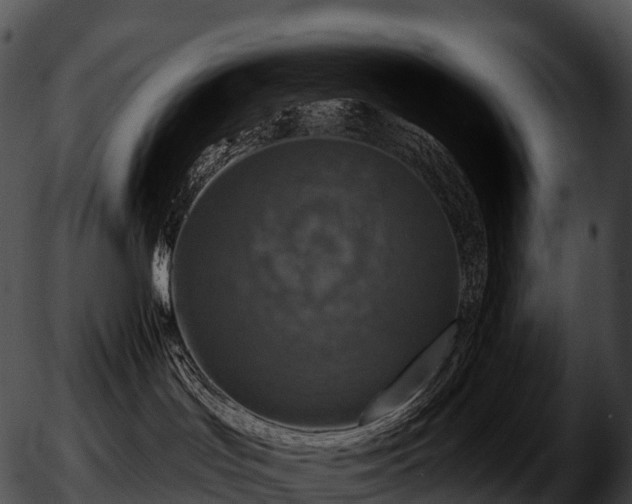 X0000051890047200507020107