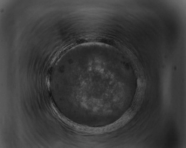 X0000051890048200507020107