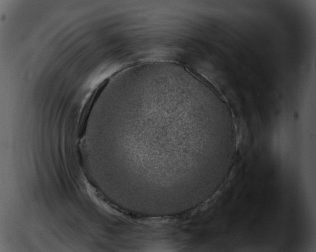 X0000051890050200507020106