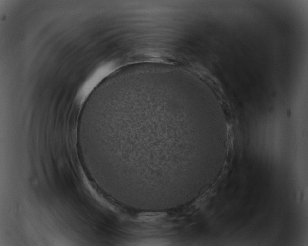 X0000051890051200507020106