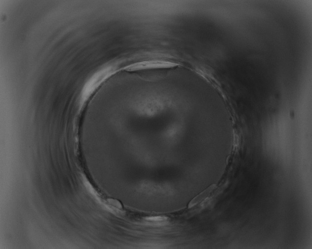 X0000051890053200507020106