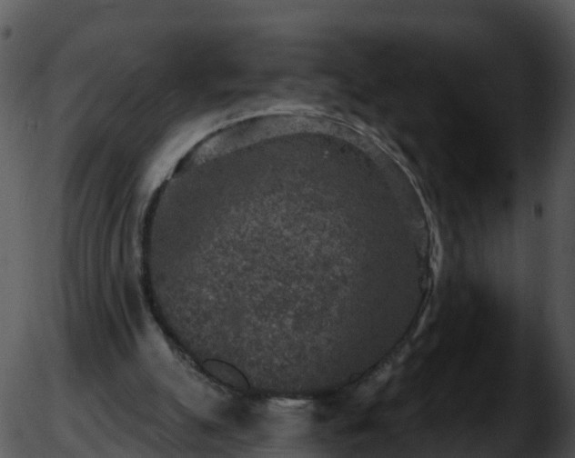 X0000051890055200507020106