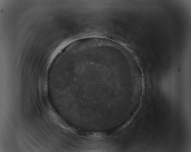 X0000051890056200507020106