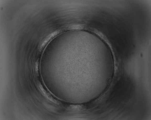 X0000051890057200507020106