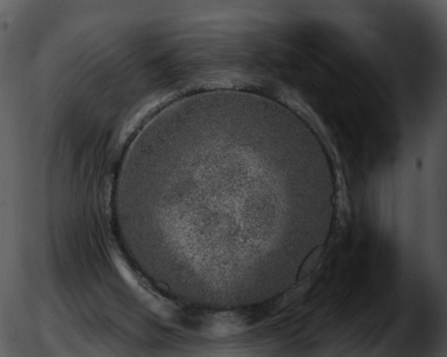 X0000051890058200507020106