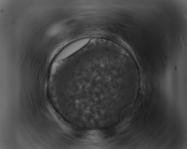 X0000051890059200507020106