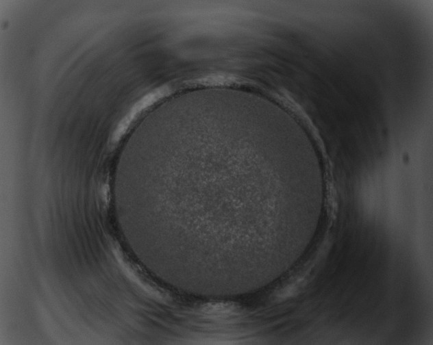 X0000051890063200507020106