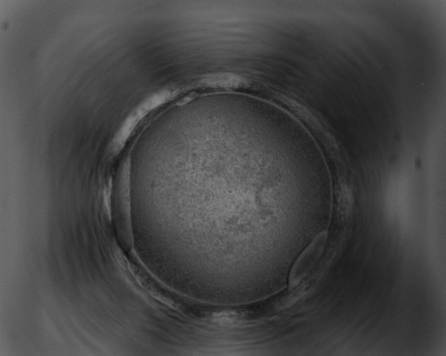 X0000051890064200507020106