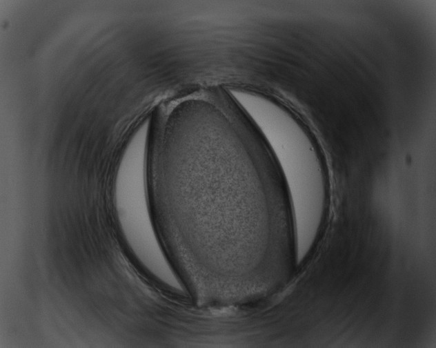 X0000051890065200507020106