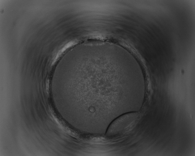 X0000051890066200507020106