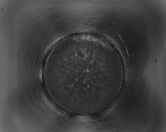 X0000051890067200507020106