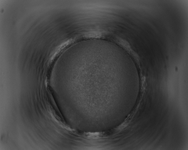 X0000051890068200507020106