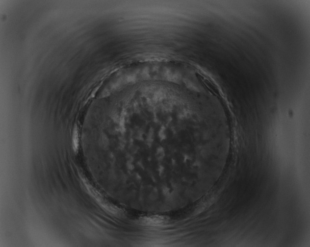 X0000051890069200507020106